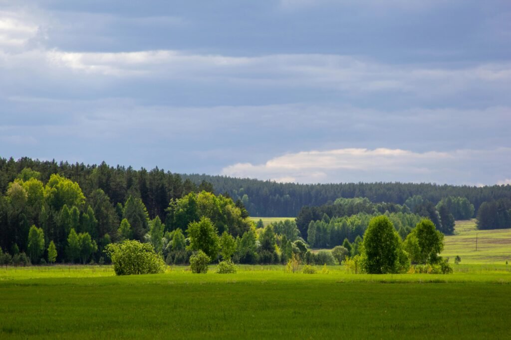 Vilnius Residences, Near Vilnius, Lithuania
